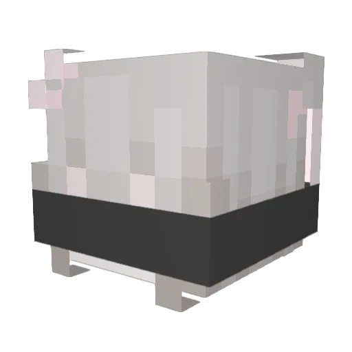 catnwww Minecraft avatar head, 3D render