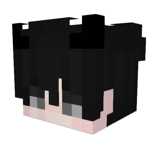 catostefan Minecraft avatar head, 3D render