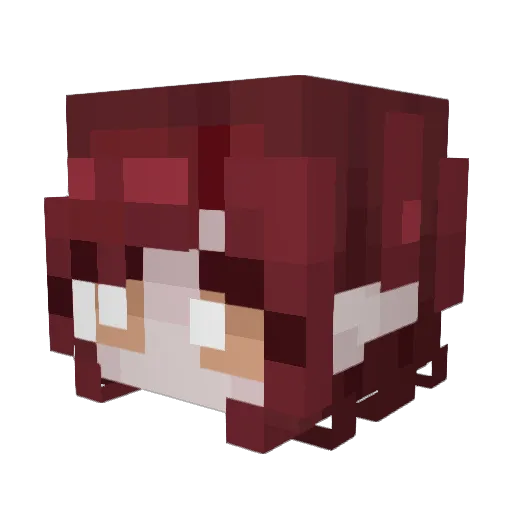 catpats Minecraft avatar head, 3D render