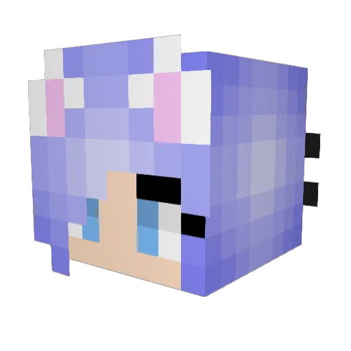 catperson415 Minecraft avatar head, 3D render