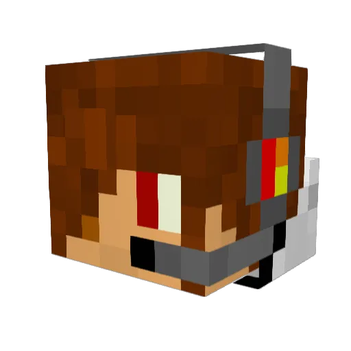 catpig89 Minecraft avatar head, 3D render
