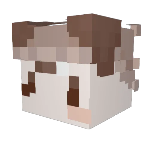 catpuurrccino Minecraft avatar head, 3D render