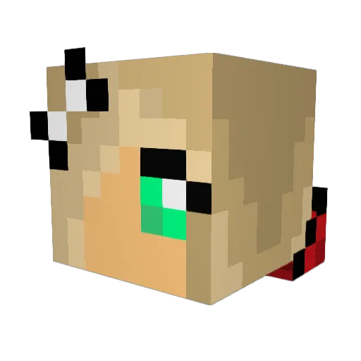 catrin1 Minecraft avatar head, 3D render