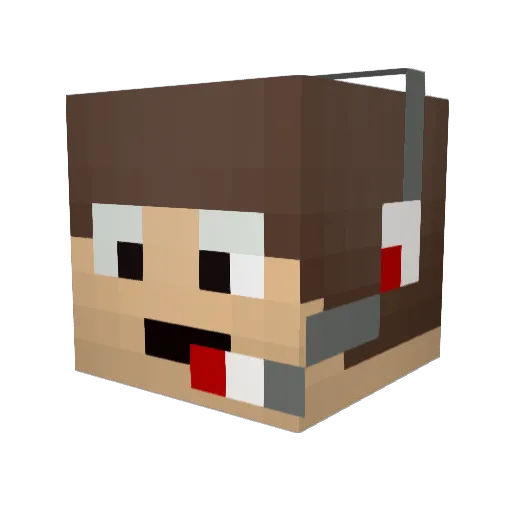 catro20 Minecraft avatar head, 3D render
