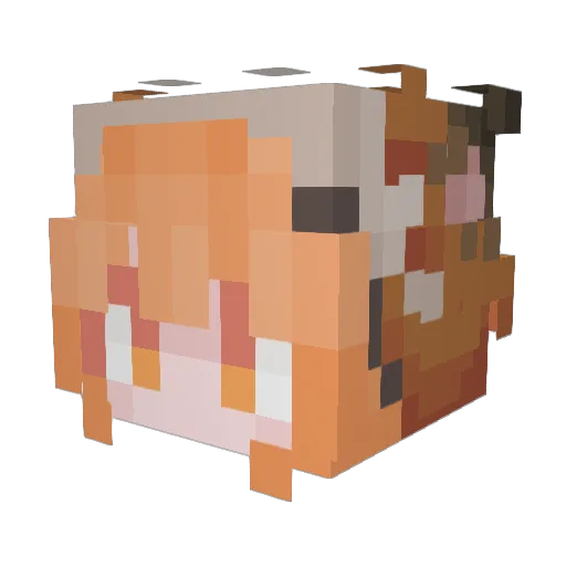 catrrrr Minecraft avatar head, 3D render