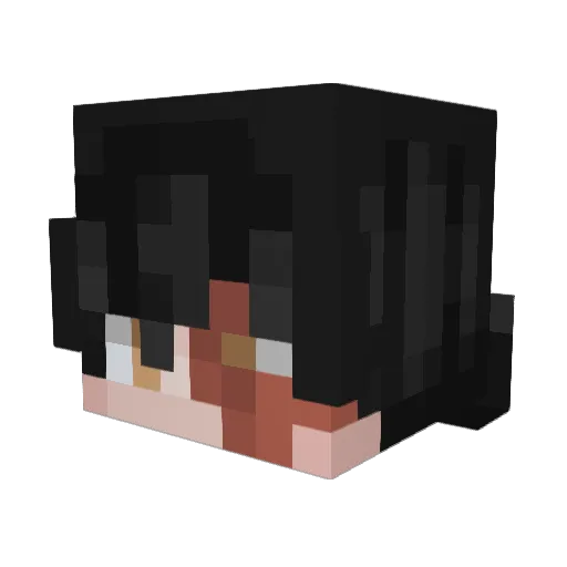 cats_and_plants Minecraft avatar head, 3D render
