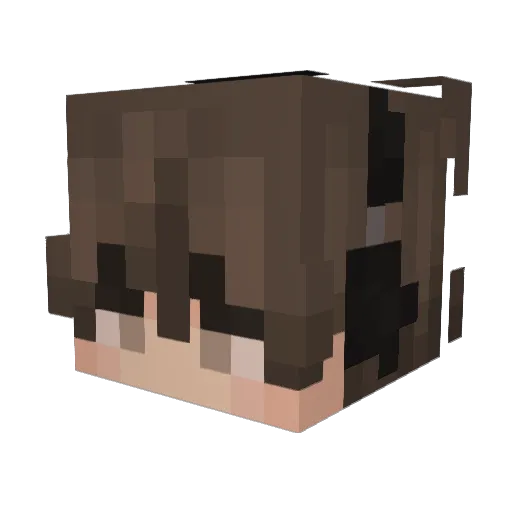cats_king3768 Minecraft avatar head, 3D render