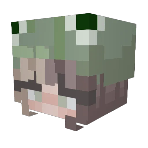 catsandrainbows Minecraft avatar head, 3D render