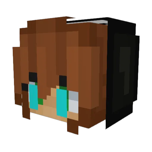 catscratchfe4r Minecraft avatar head, 3D render