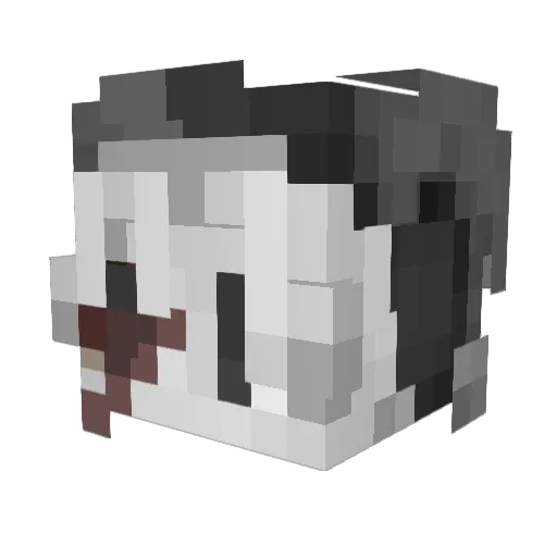 catseye__ Minecraft avatar head, 3D render