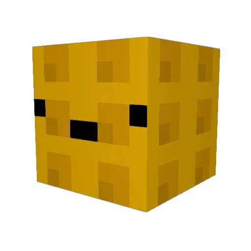 catshark1234 Minecraft avatar head, 3D render