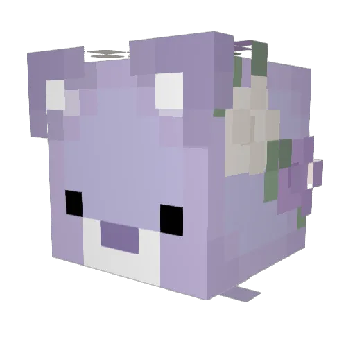 catsocks Minecraft avatar head, 3D render