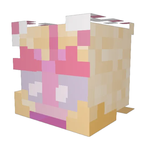 catsookie Minecraft avatar head, 3D render