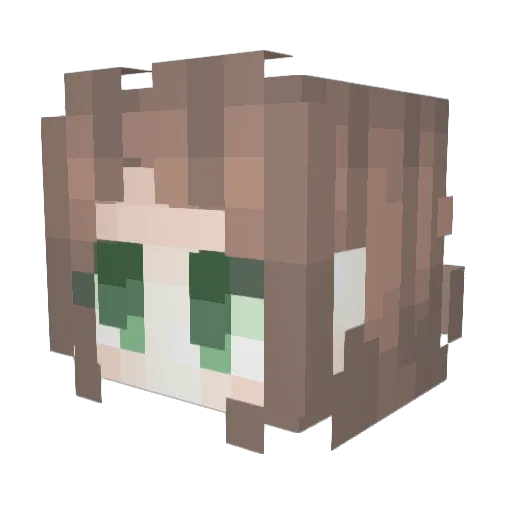 catsoup_ Minecraft avatar head, 3D render