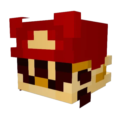 catsplush Minecraft avatar head, 3D render