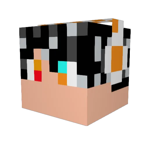 catsprey Minecraft avatar head, 3D render