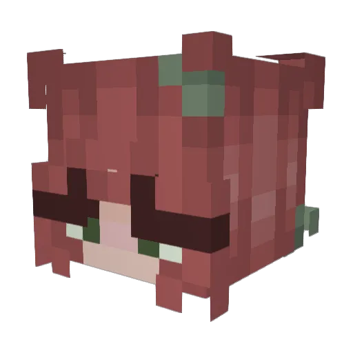 catssmiles Minecraft avatar head, 3D render