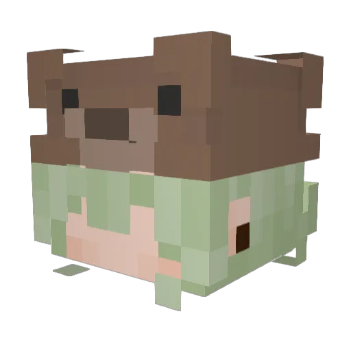 catsticker Minecraft avatar head, 3D render