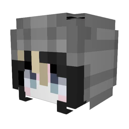catsyi Minecraft avatar head, 3D render