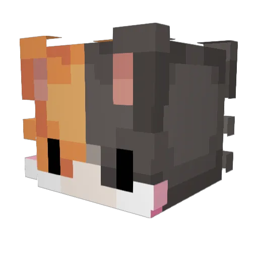 cattachi Minecraft avatar head, 3D render