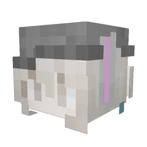 cattail210 Minecraft avatar head, 3D render