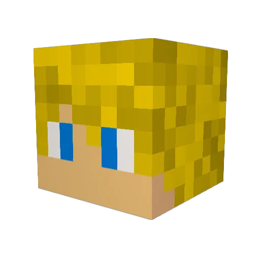 catti99 Minecraft avatar head, 3D render