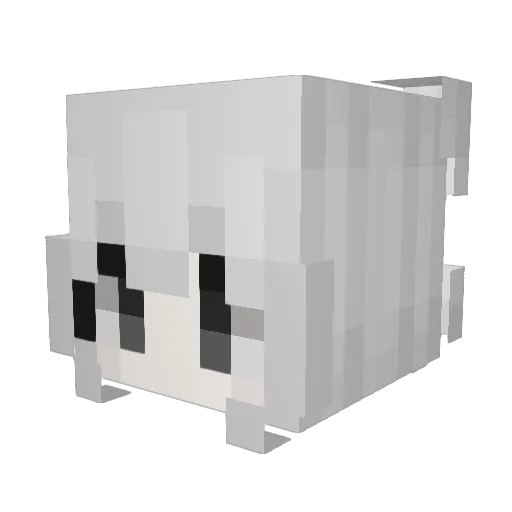 cattiy Minecraft avatar head, 3D render