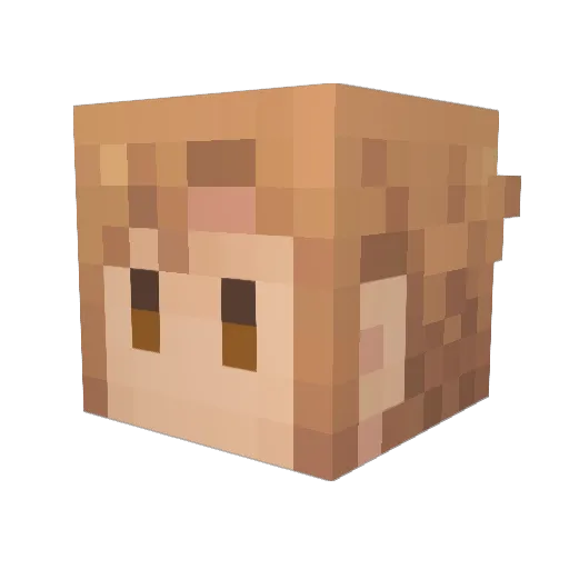 cattlea Minecraft avatar head, 3D render
