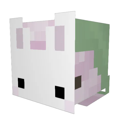 cattopaws Minecraft avatar head, 3D render