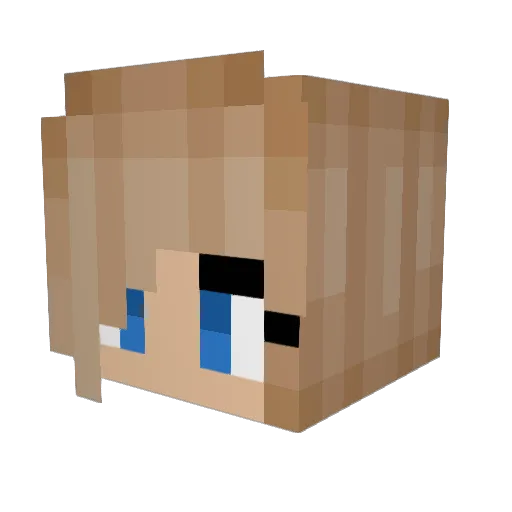 cattt220 Minecraft avatar head, 3D render