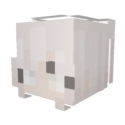 catttxd Minecraft avatar head, 3D render