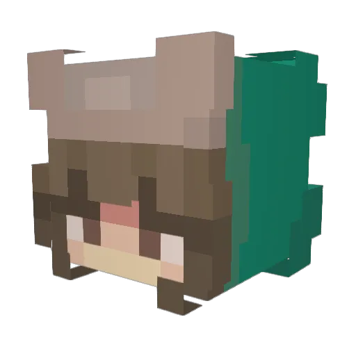 catty248 Minecraft avatar head, 3D render