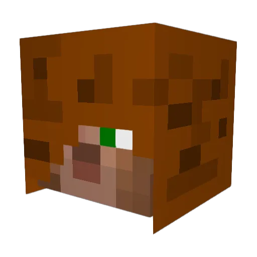 cattymcg Minecraft avatar head, 3D render