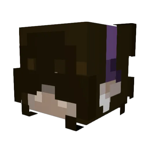 cattypieUwU Minecraft avatar head, 3D render