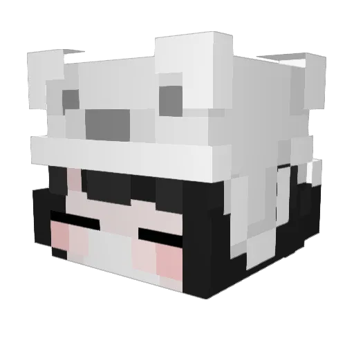cattysea Minecraft avatar head, 3D render