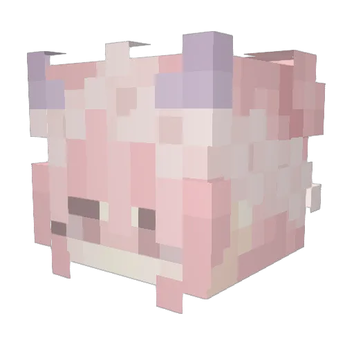 cattyyyn Minecraft avatar head, 3D render
