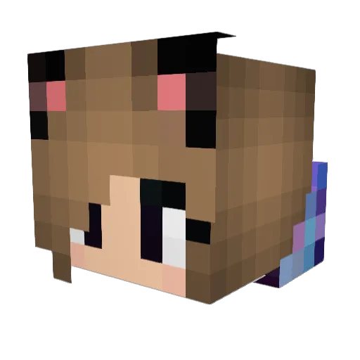 catvalentay Minecraft avatar head, 3D render