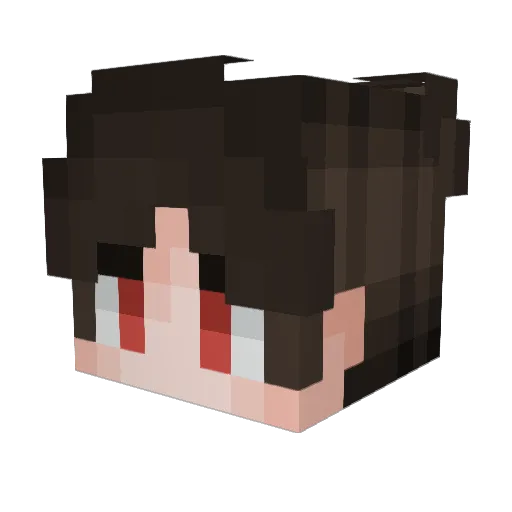 catwhatdog Minecraft avatar head, 3D render