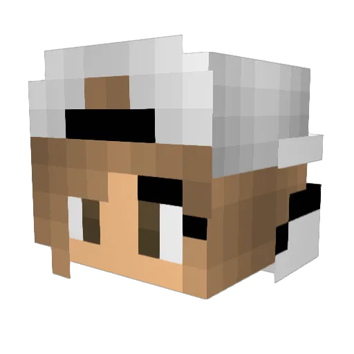 catwhisperer22 Minecraft avatar head, 3D render