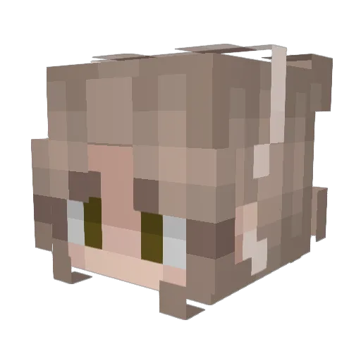 catzrule04 Minecraft avatar head, 3D render