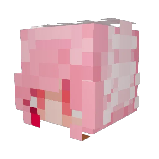 cauIiflower Minecraft avatar head, 3D render