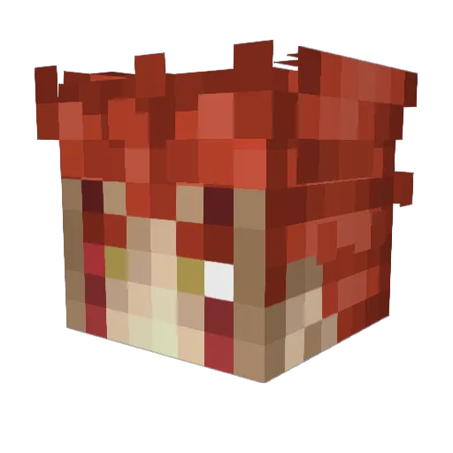 caubedaugiay Minecraft avatar head, 3D render