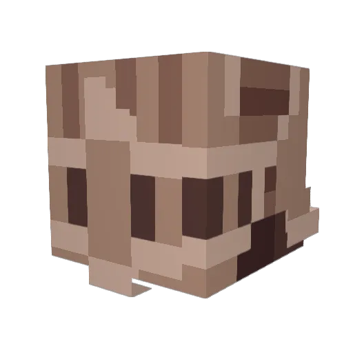 caulksocker Minecraft avatar head, 3D render