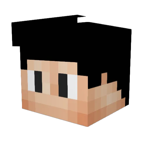 caun1 Minecraft avatar head, 3D render