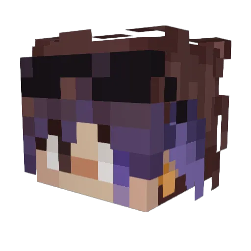 caustic_Crow Minecraft avatar head, 3D render