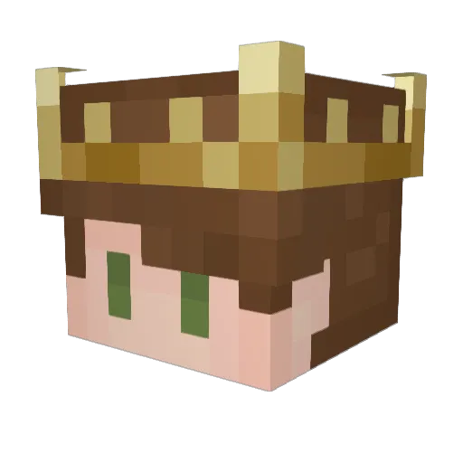 causu Minecraft avatar head, 3D render