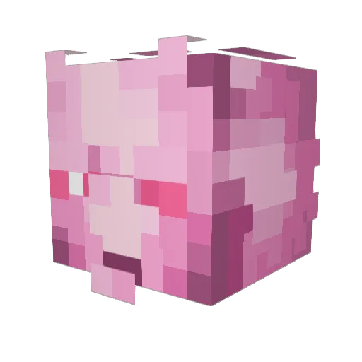 cavaliersdeath Minecraft avatar head, 3D render
