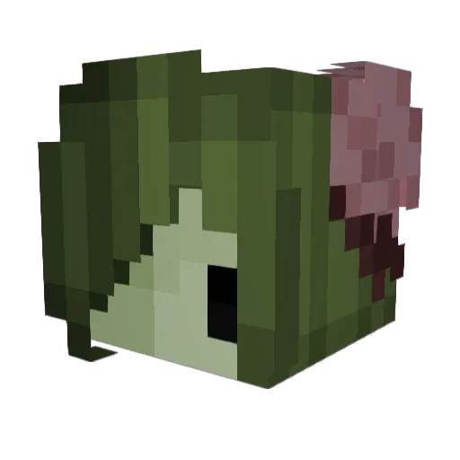 cavedinkvnt Minecraft avatar head, 3D render