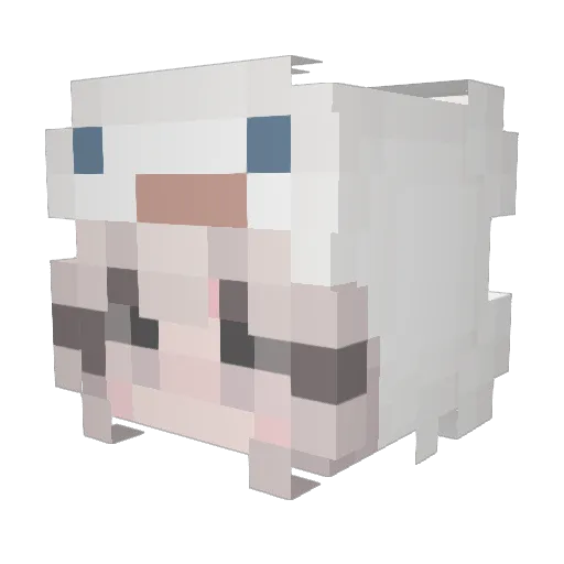 cavxy Minecraft avatar head, 3D render