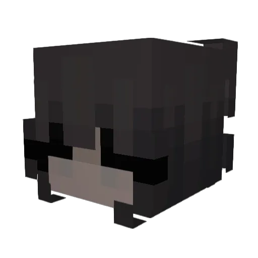 cawpses Minecraft avatar head, 3D render